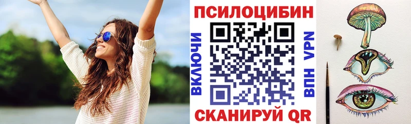 наркотики Лабинск Галлюциногенные грибы Psilocybine cubensis